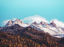 kaiyun-开云体育下载官网：开启体育世界的新入口